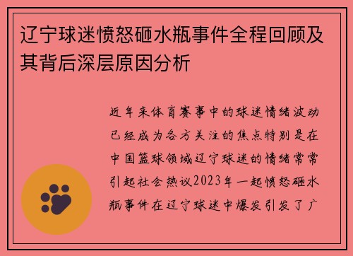 辽宁球迷愤怒砸水瓶事件全程回顾及其背后深层原因分析