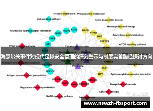 海瑟尔关事件对现代足球安全管理的深刻警示与制度完善路径探讨方向